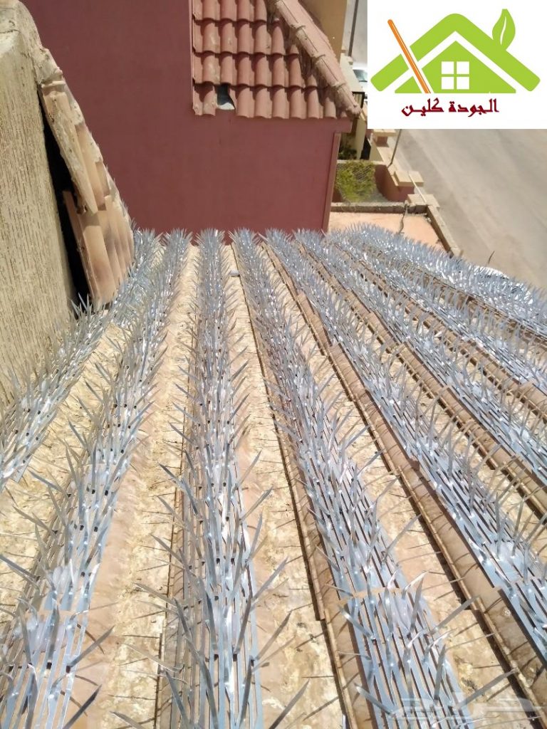 شركة شبك حمام بالدوادمي